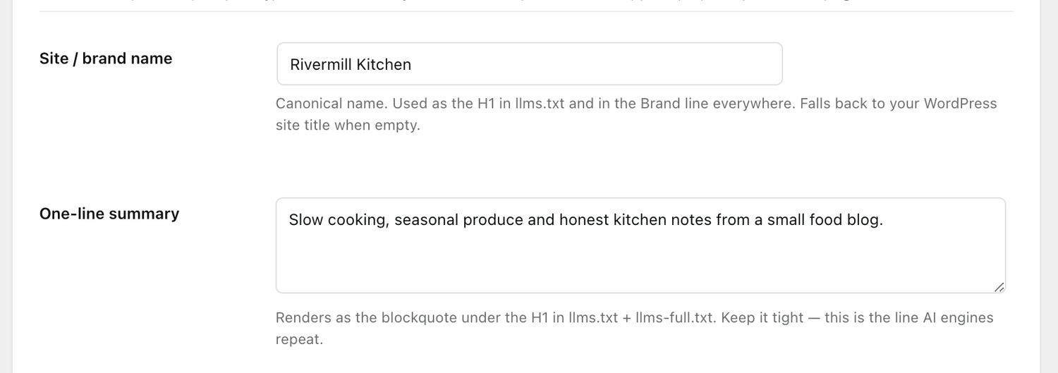RankReady Brand Identity fields